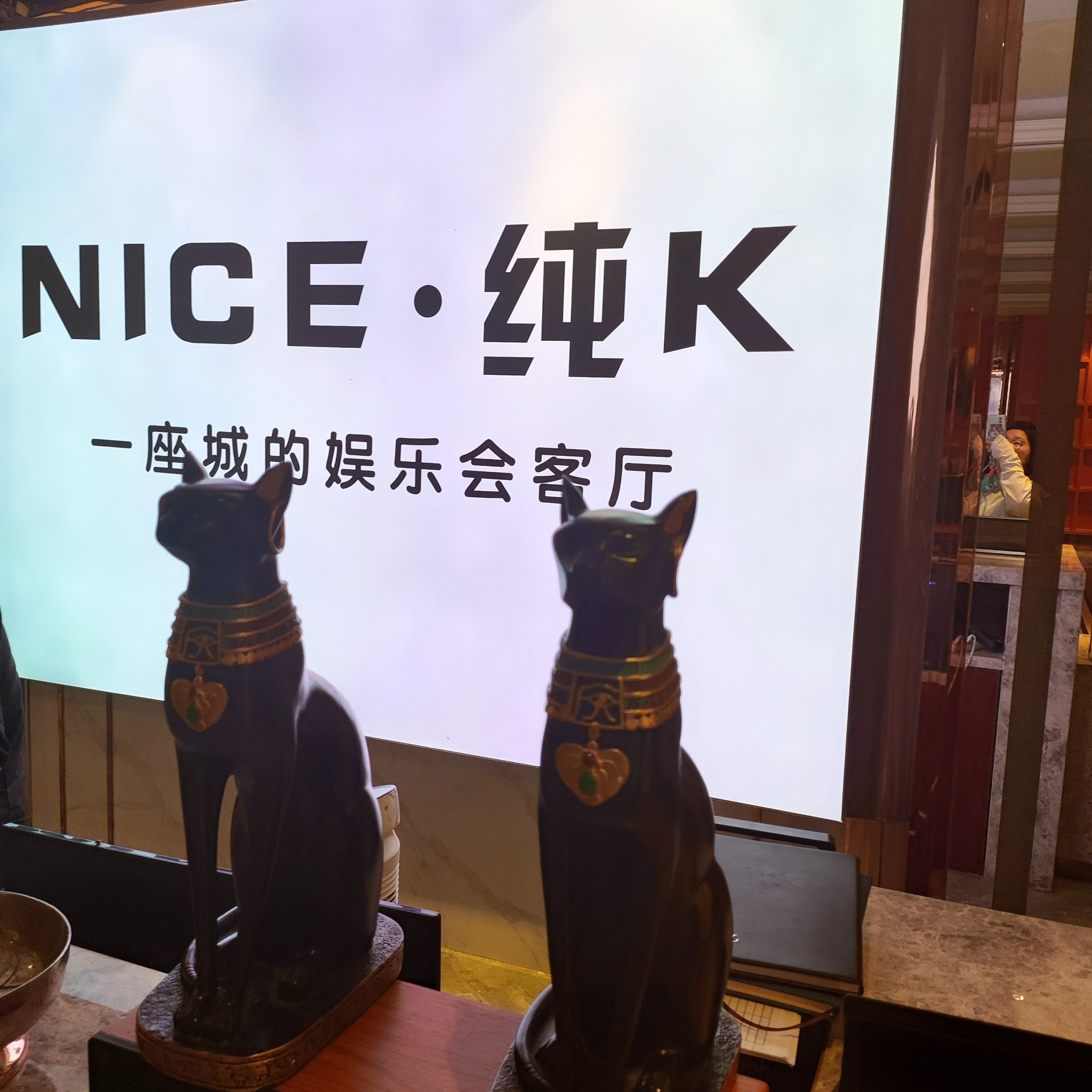 临沂商务ktv商务ktv新玩法揭秘-河东区ktv预订